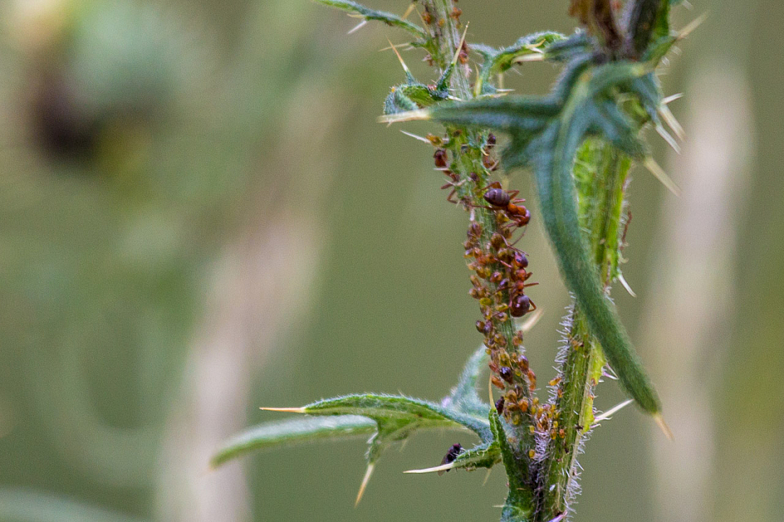 20140720160426 64212