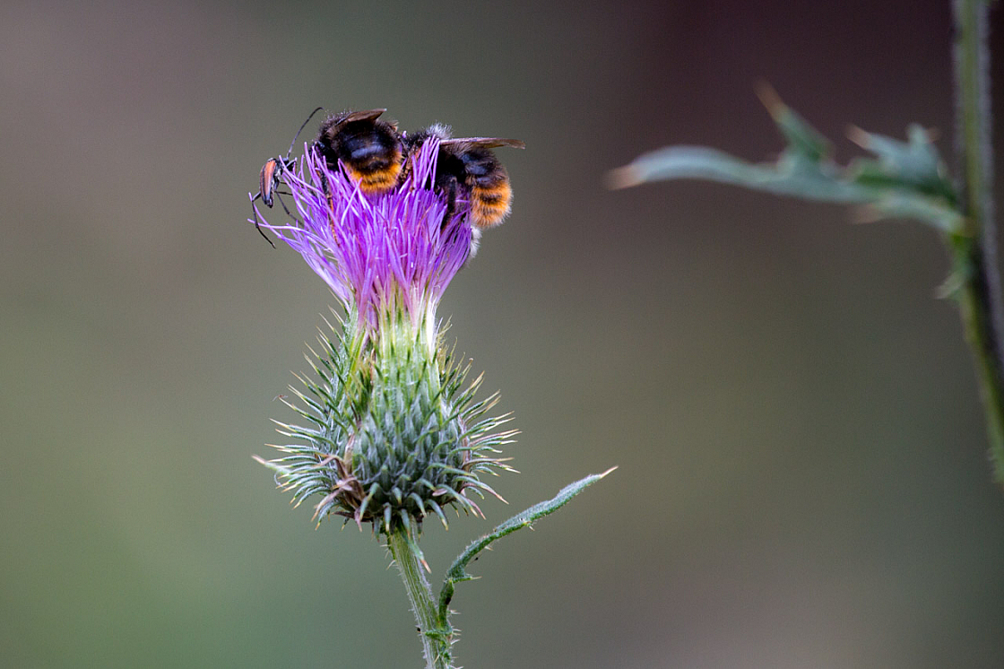 20140720160513 64232