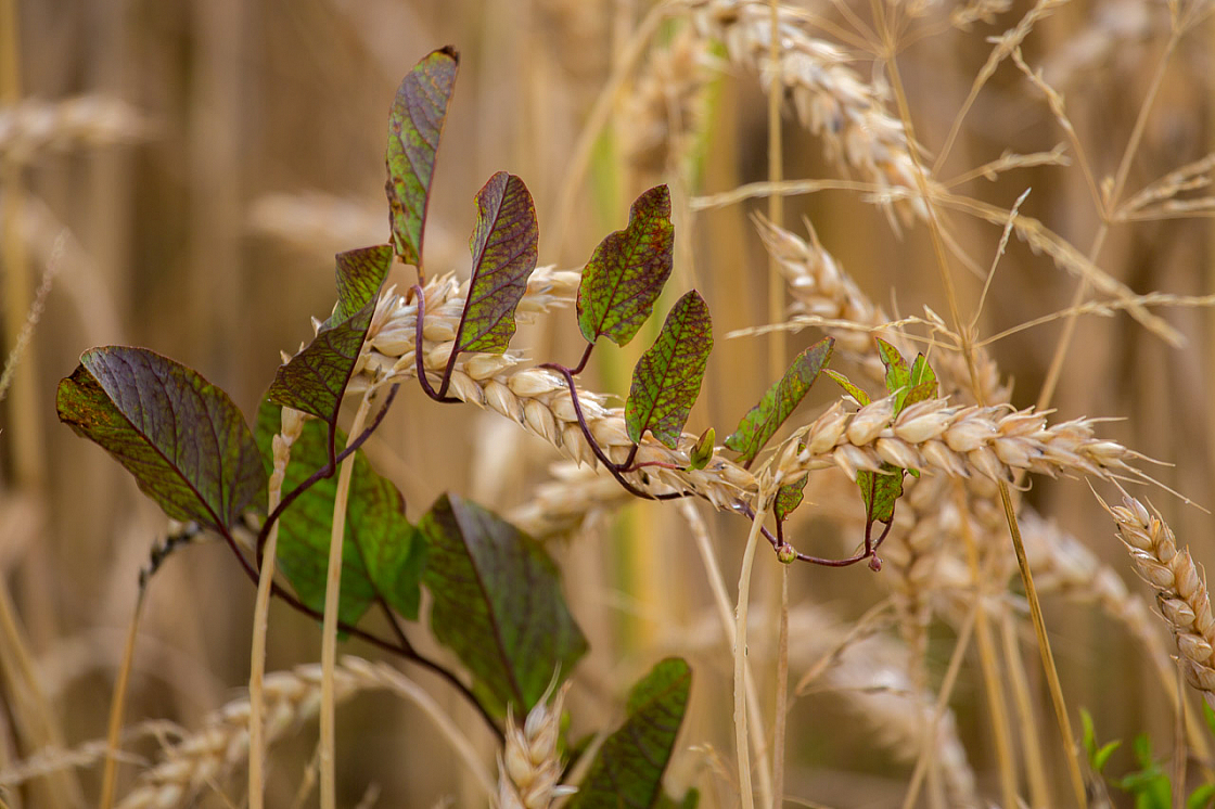 20140720184616 64436