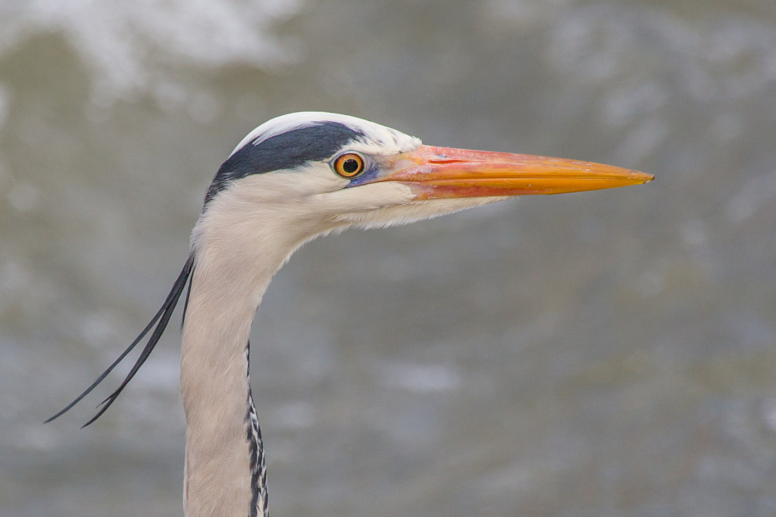 20130309150114 20195