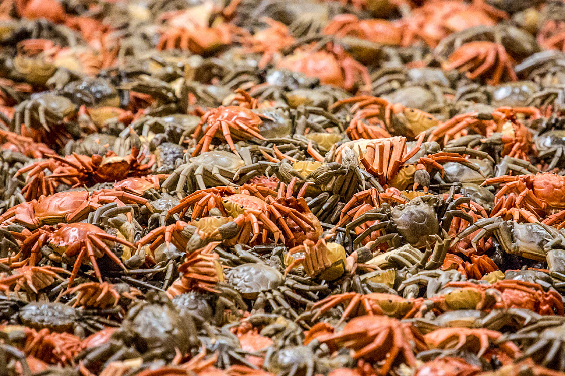 20140502164207 57546