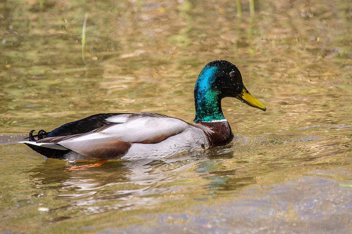 20140503122124 57756