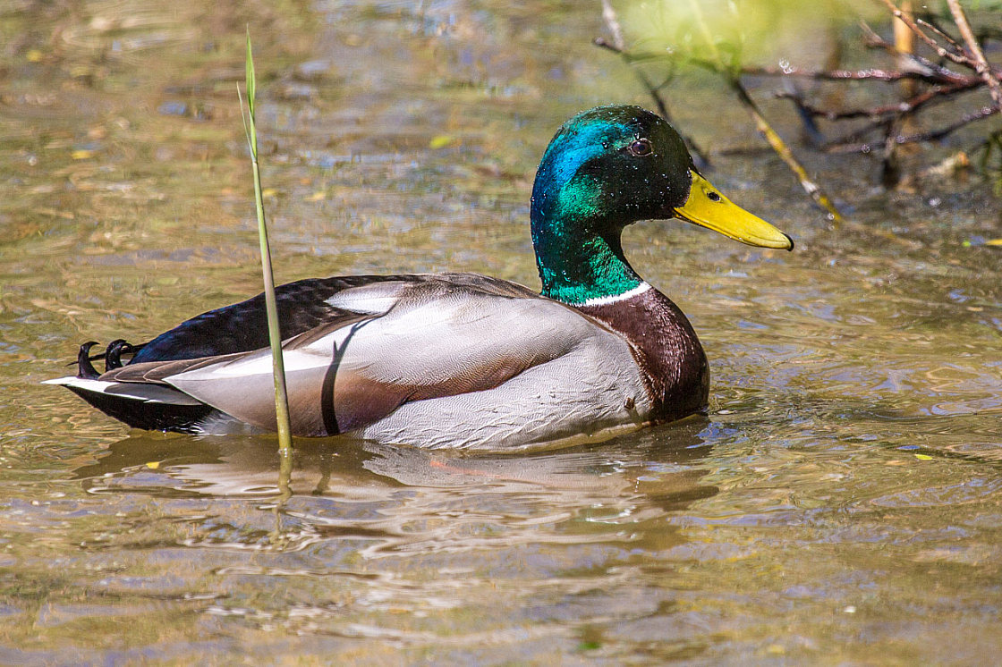 20140503122130 57758