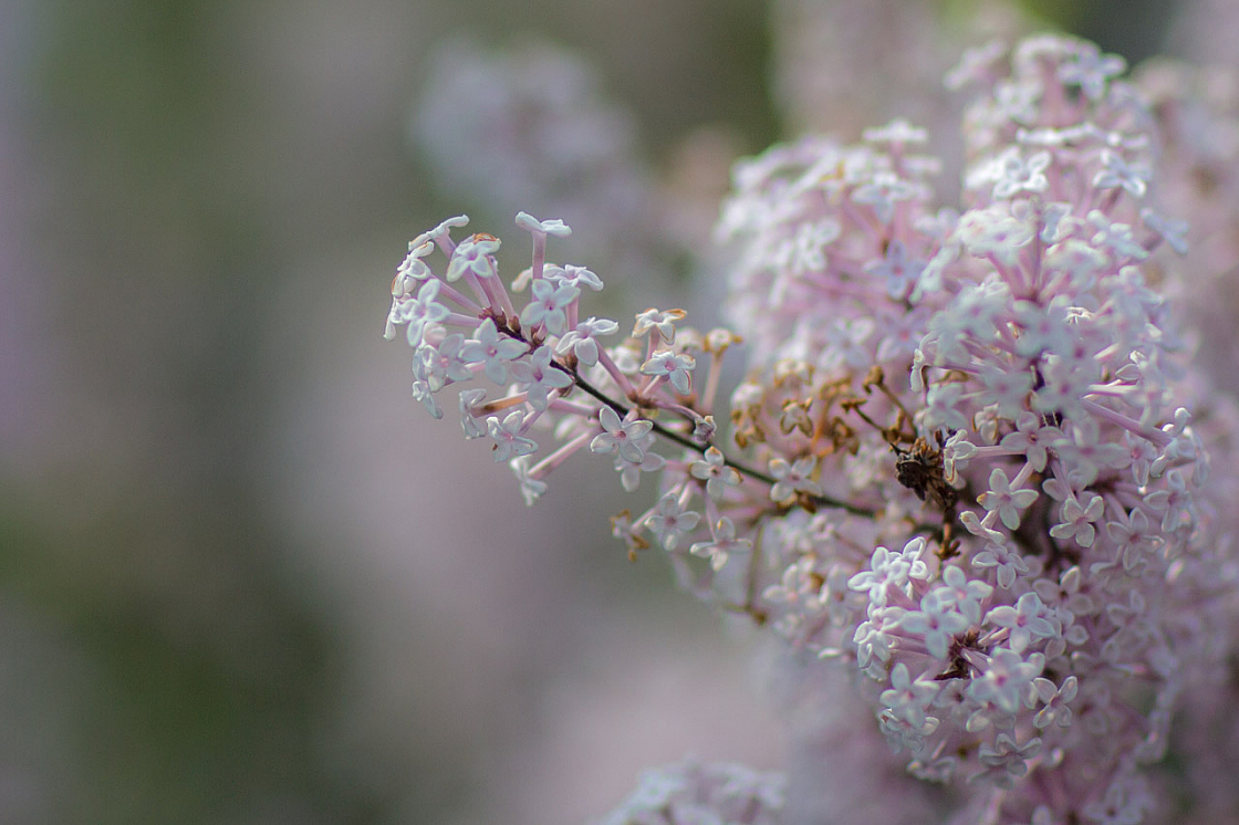 20140430142031 57161