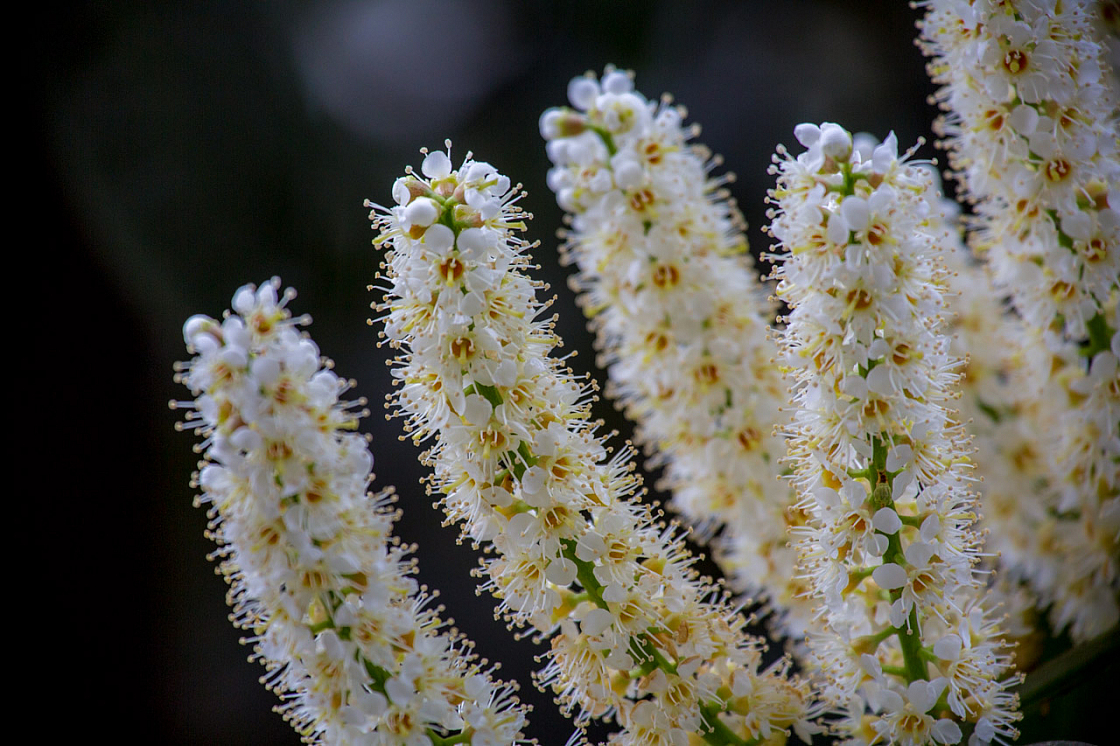 20140421125244 57024