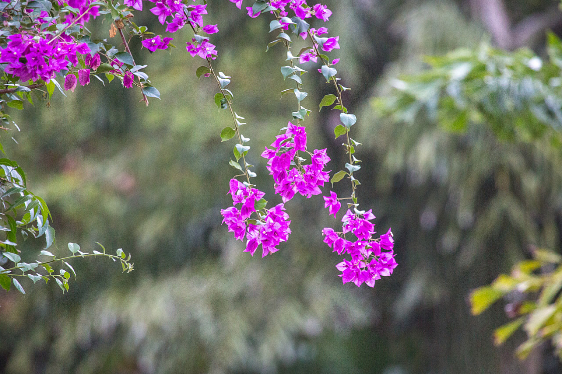 20140124180358 44996