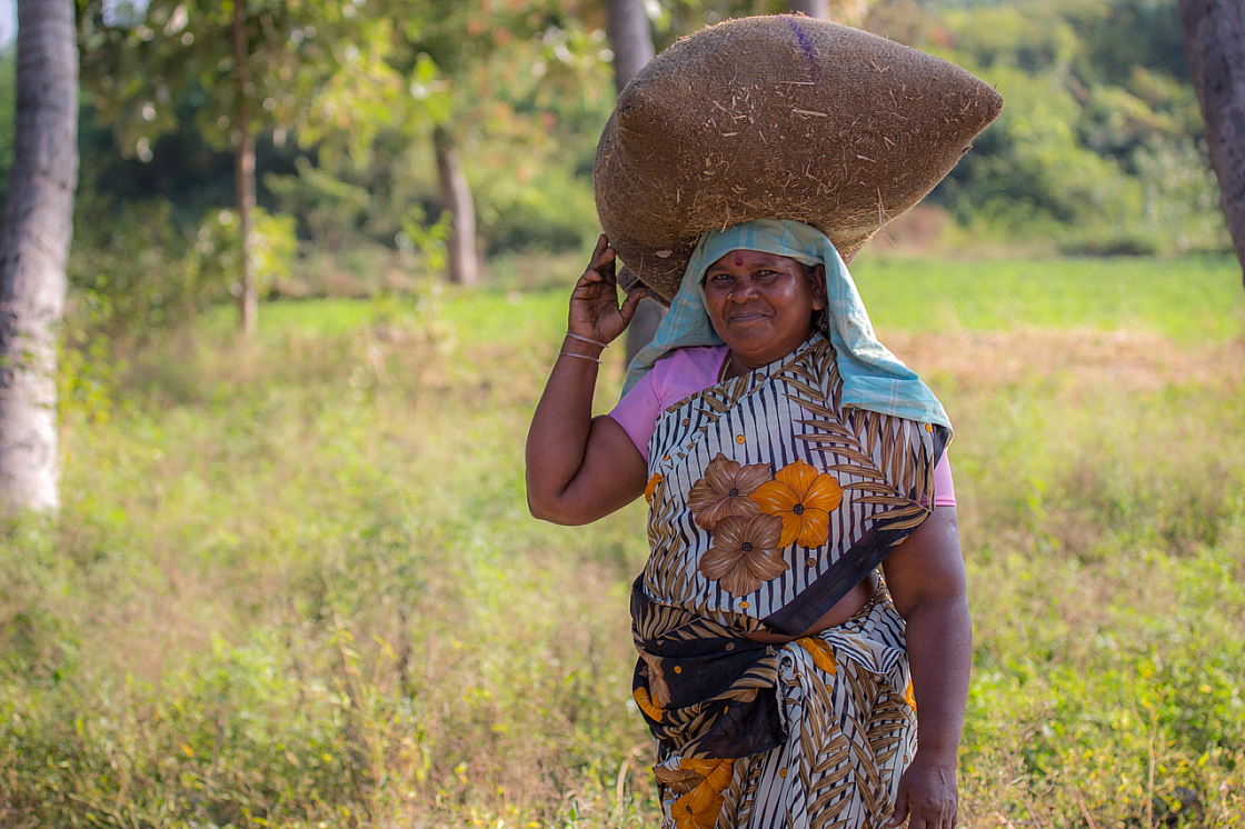 06 pongal 20140115160405 40927