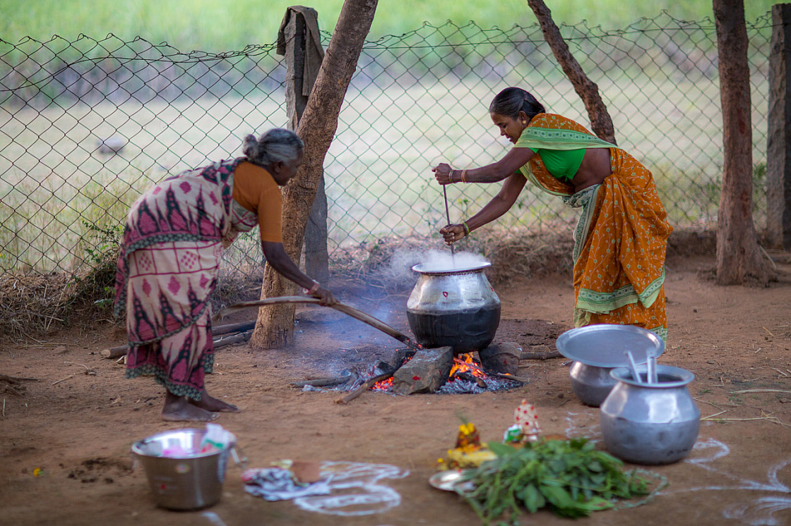 06 pongal 20140117173344 42432