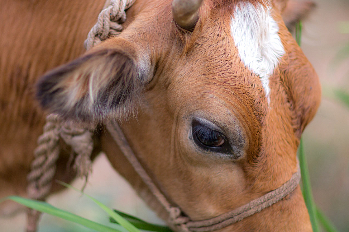 20140117165105 42058