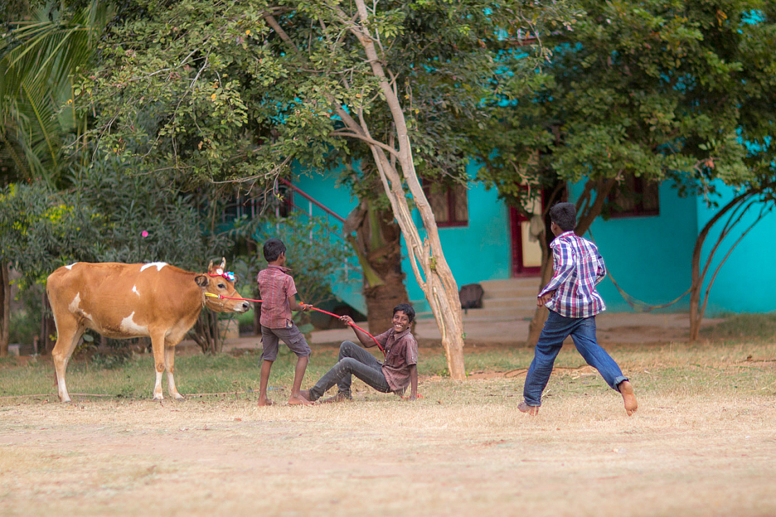 20140117172145 42314