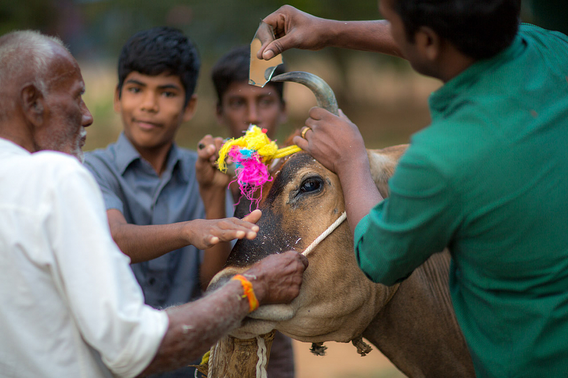 20140117174147 42530