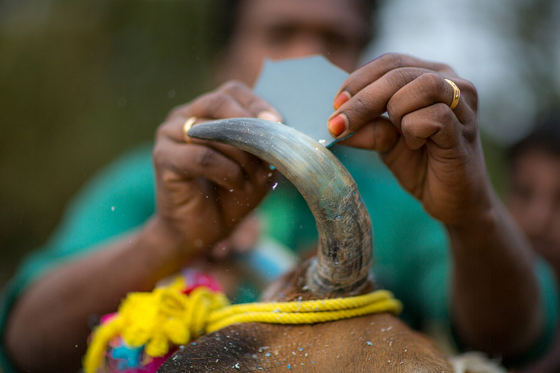 20140117174246 42541