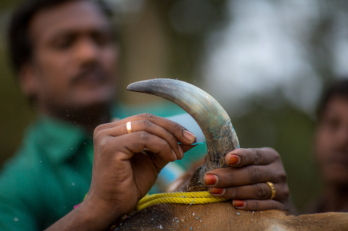 20140117174249 42547