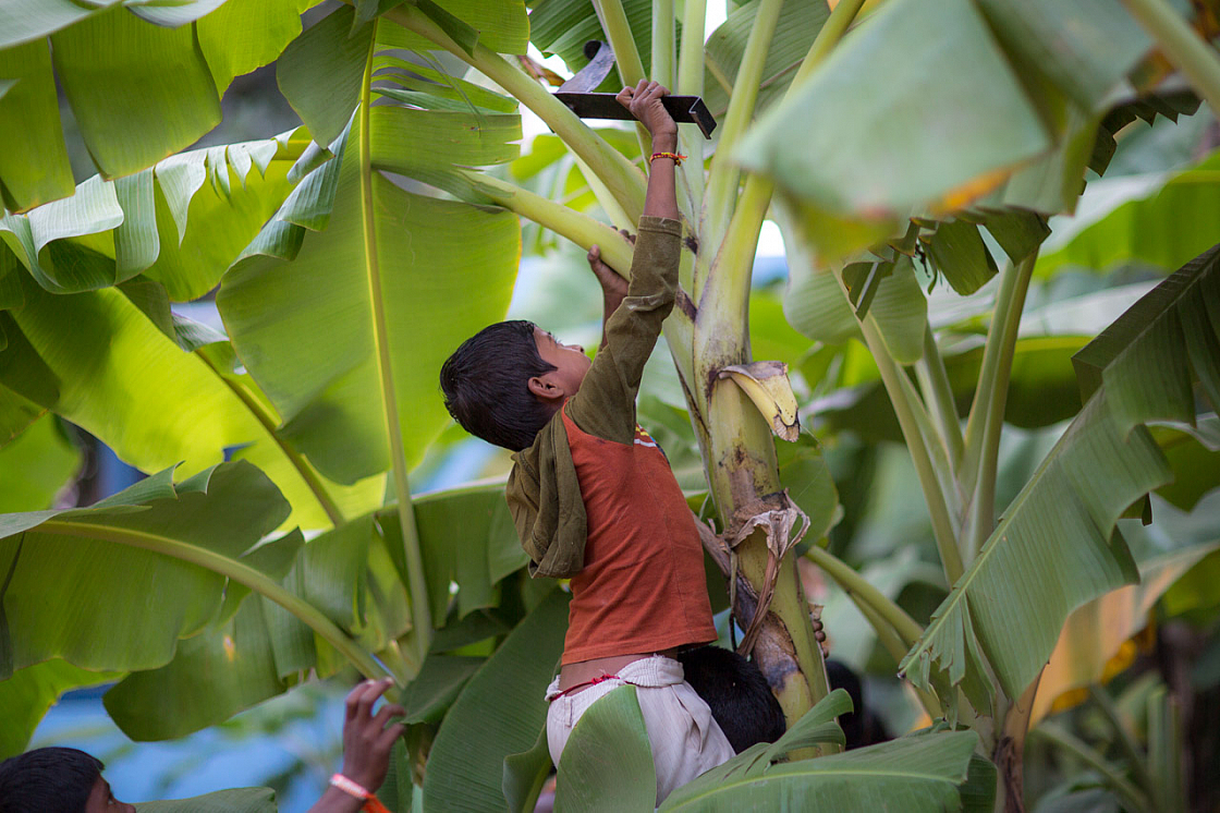 20140117174652 42586