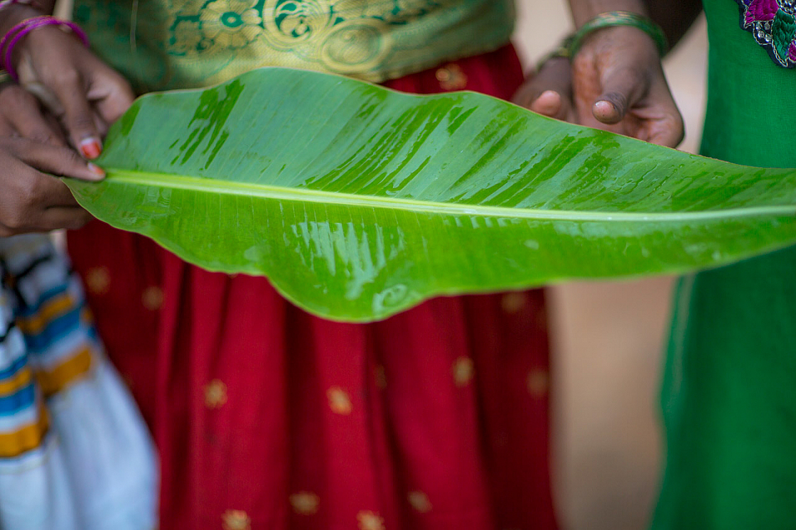 20140117175103 42599