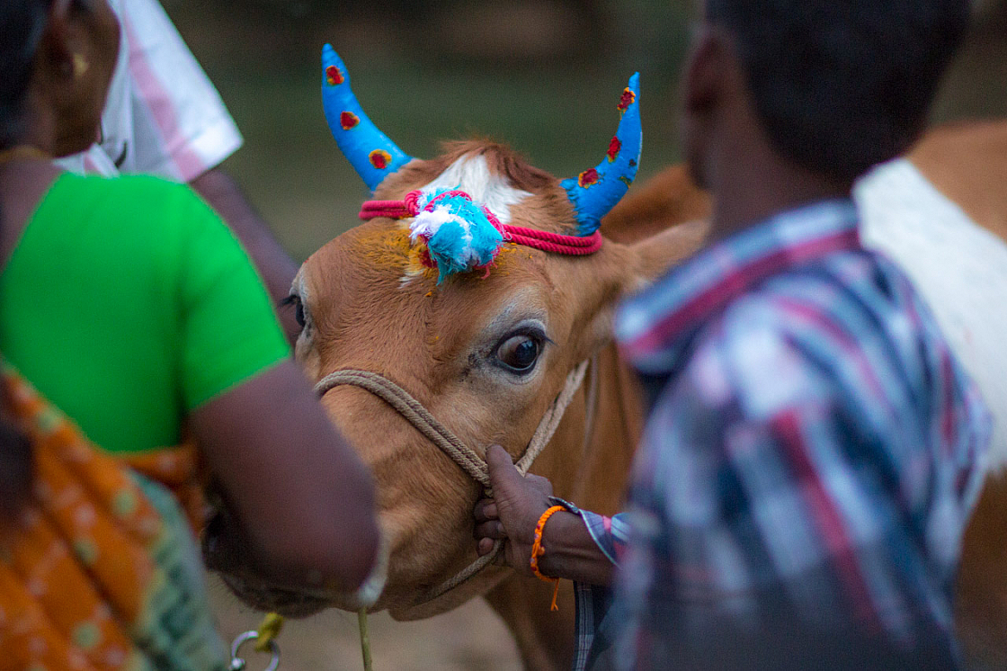 20140117181834 42767