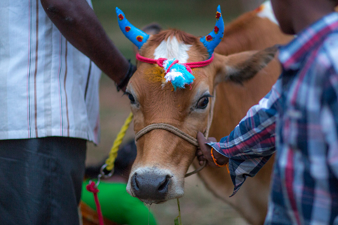 20140117181844 42771