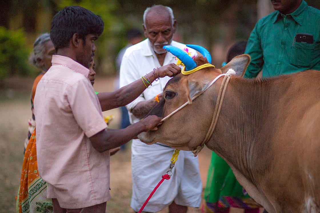 20140117182146 42820