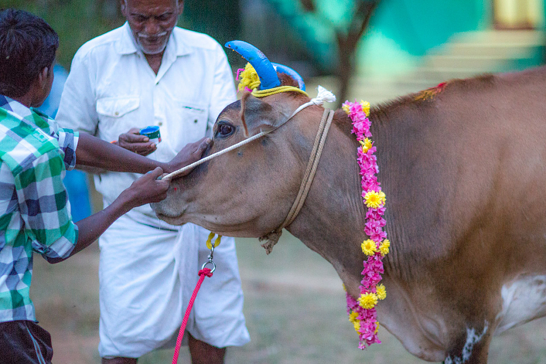 20140117182439 42848