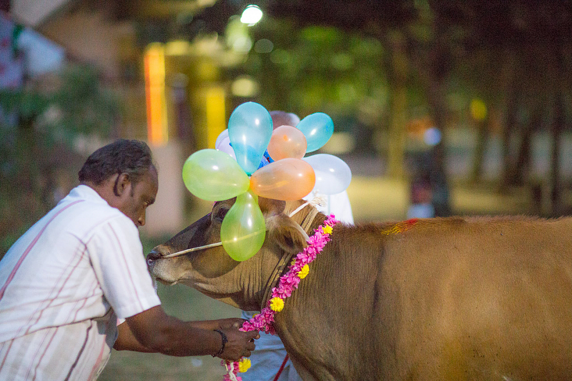 20140117183300 42911