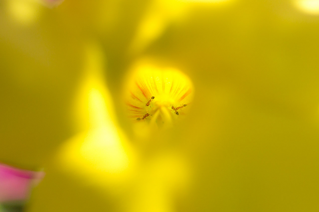 20140206121944 50913