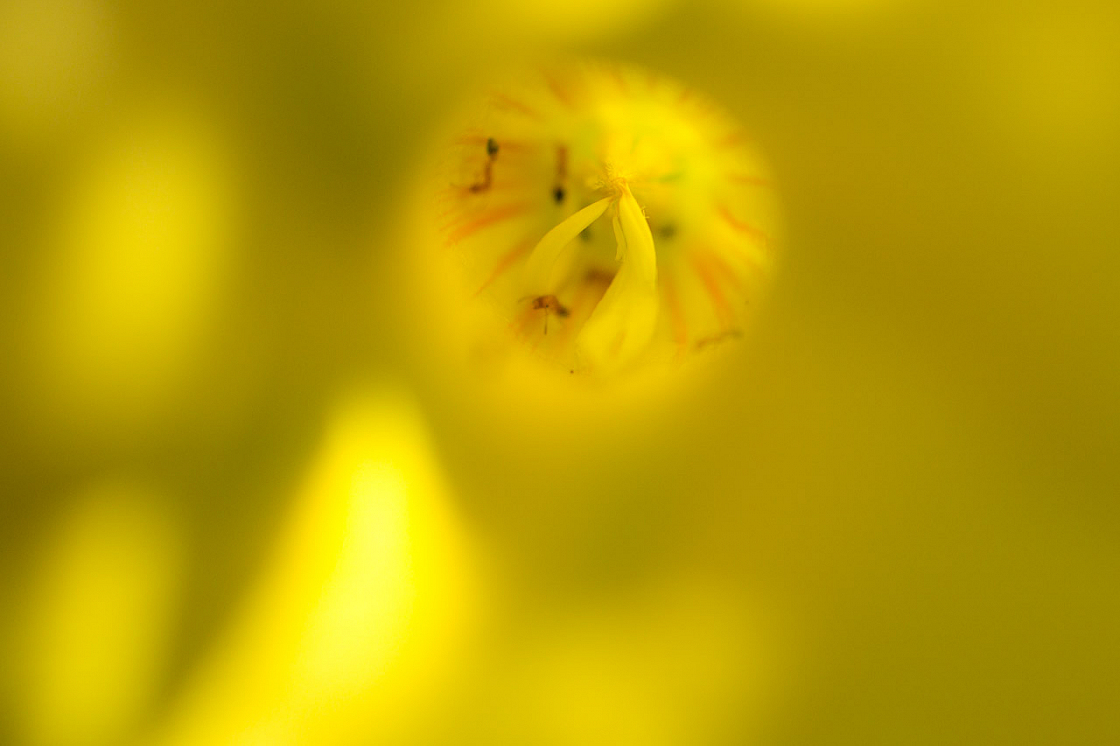 20140206122003 50920