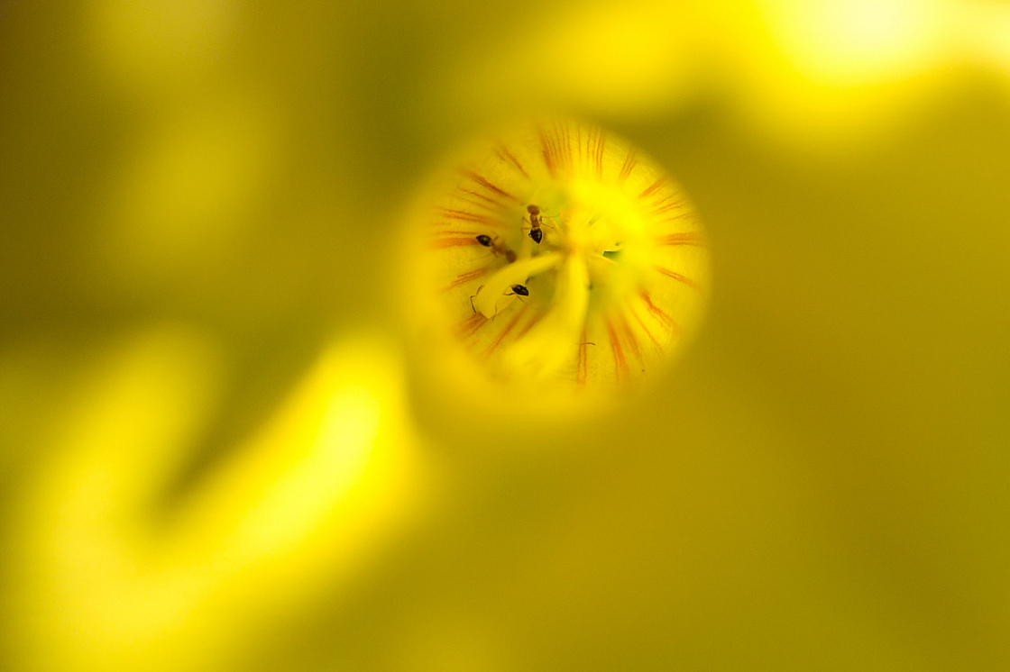 20140206122006 50924