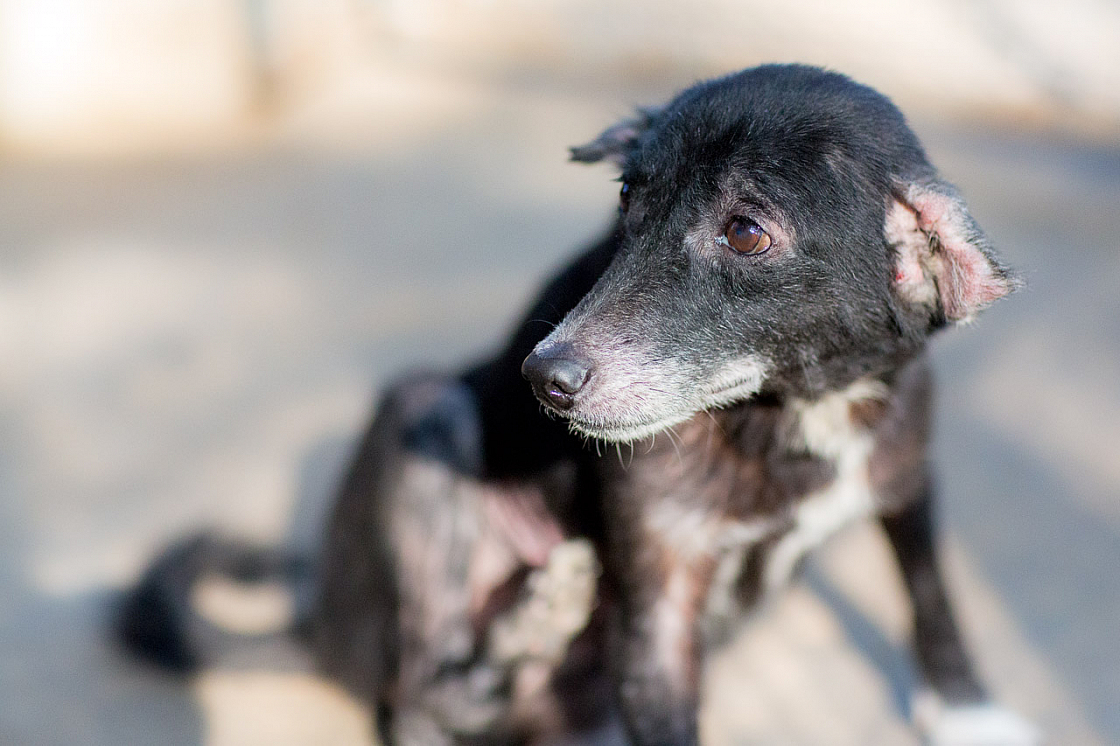 20140119154704 43521