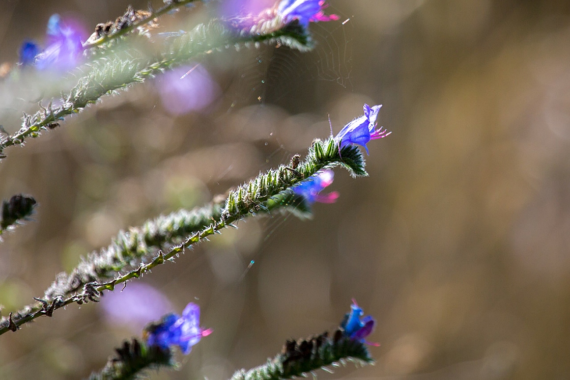 20140822111053 61431