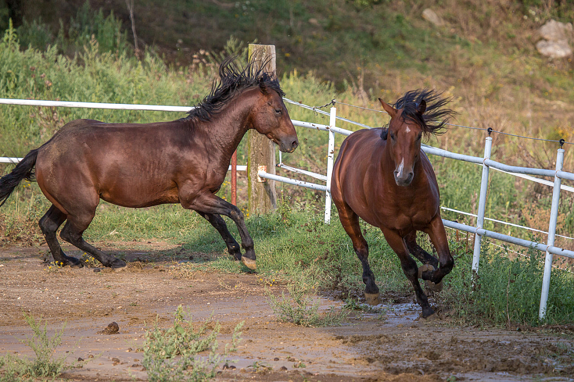 20140823175919 62615