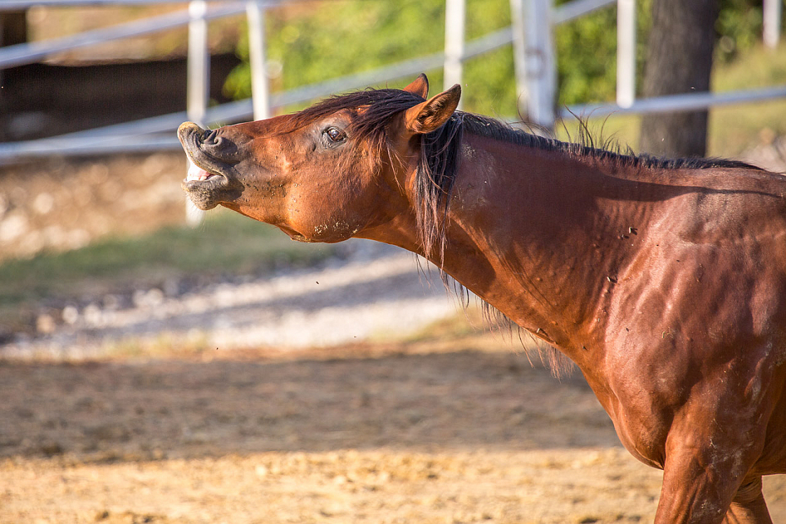 20140823181252 62976