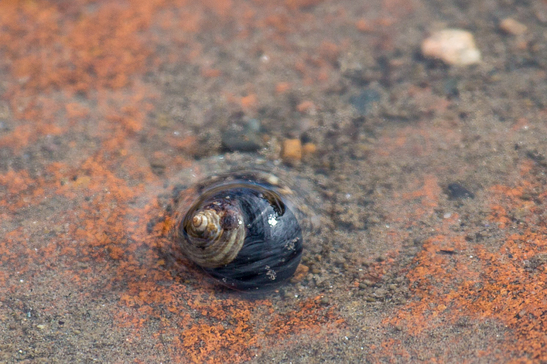 20140925121650 72020