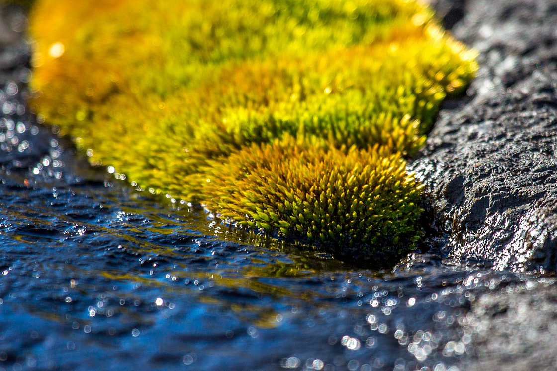 20140925123847 72065