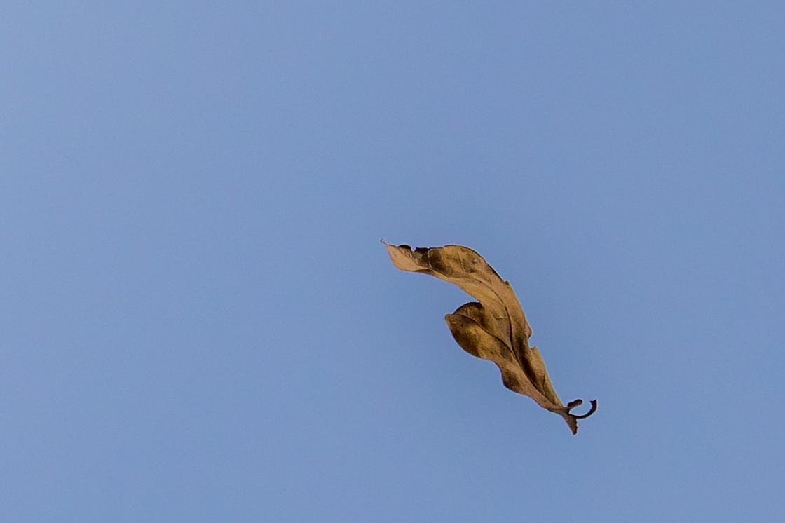 20141102113119 76544