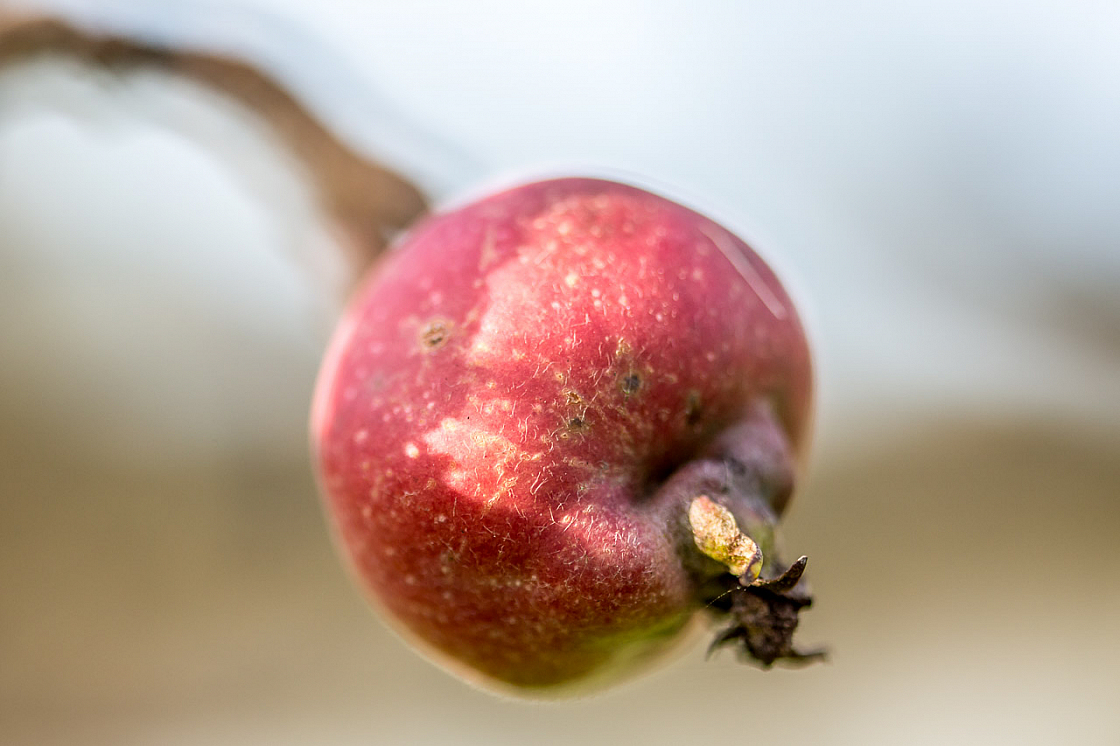 20141102115751 76672