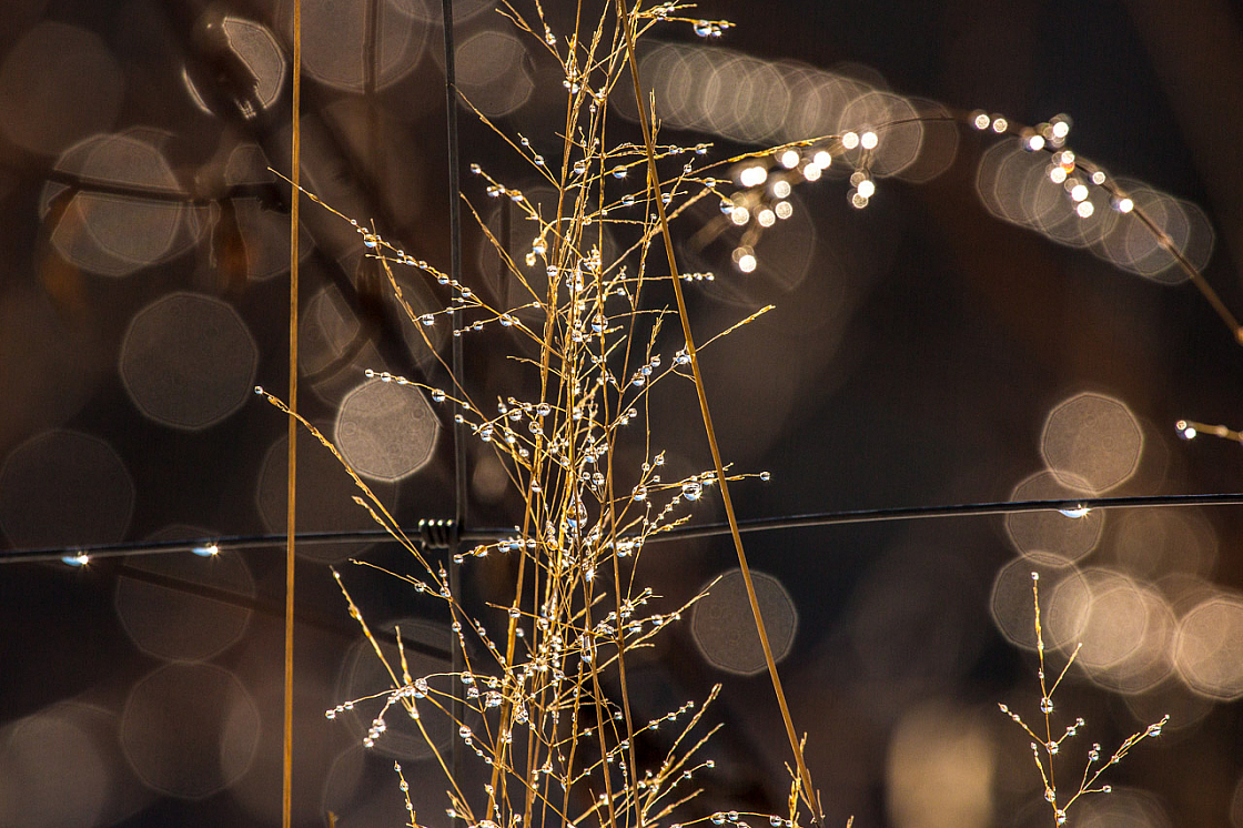 20150101124719 77748