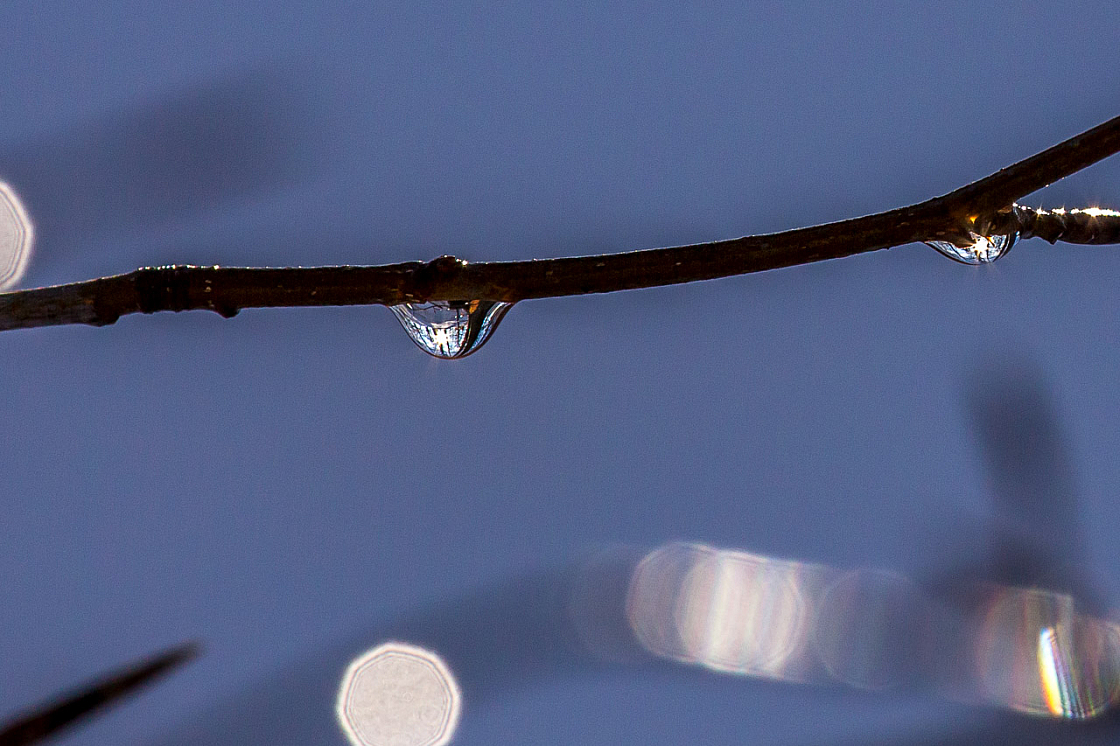 20150101125317 77764-2