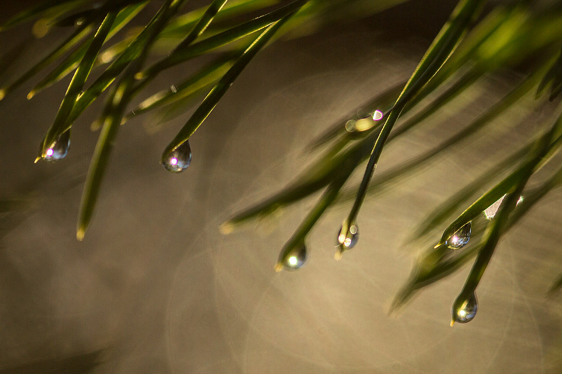 20150101131822 77836