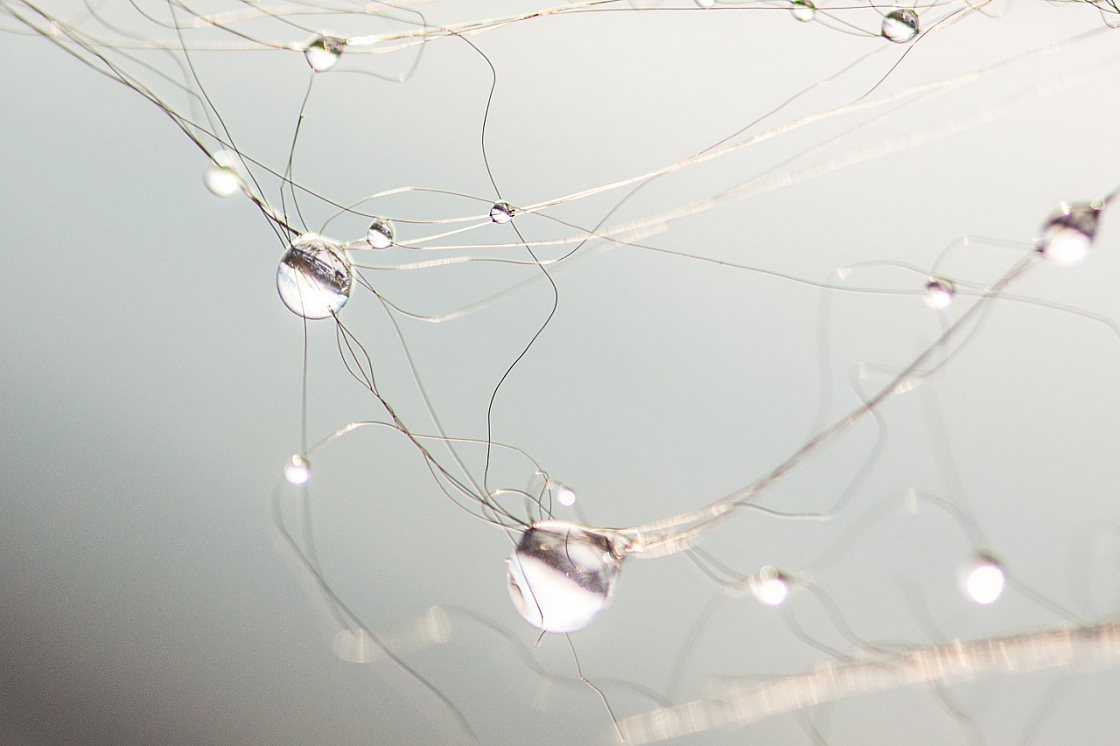 20150101132659 77912