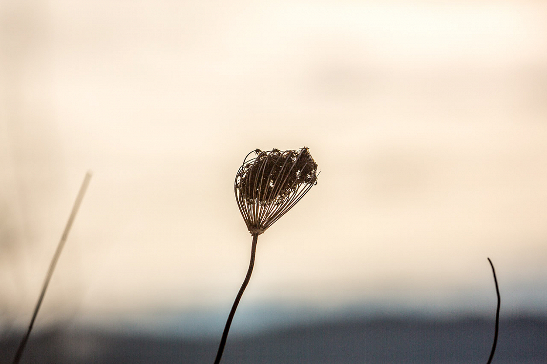 20150101133051 77947