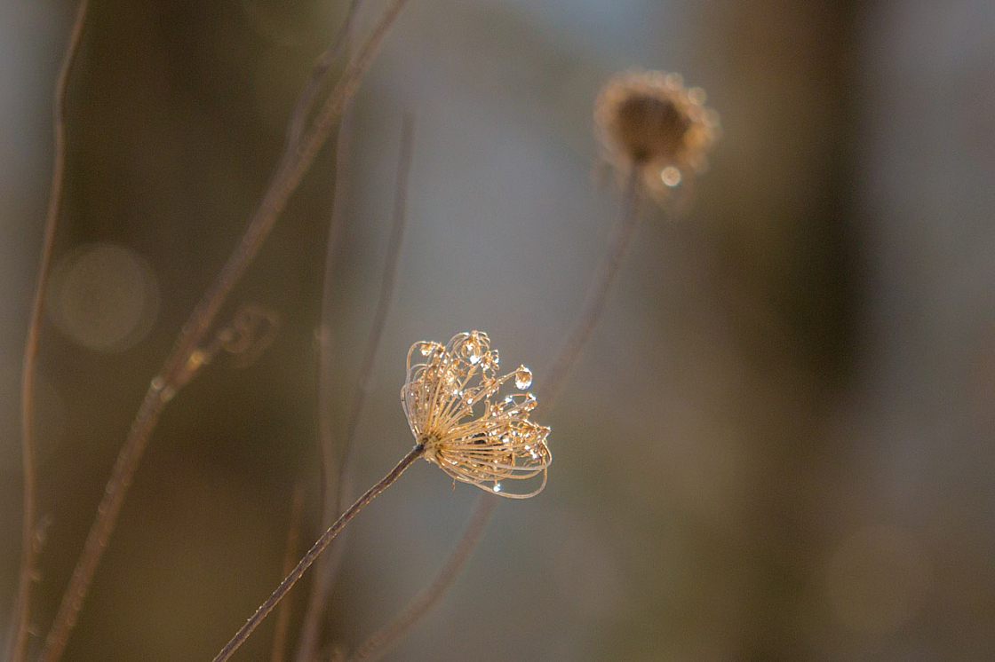 20150101133147 77957