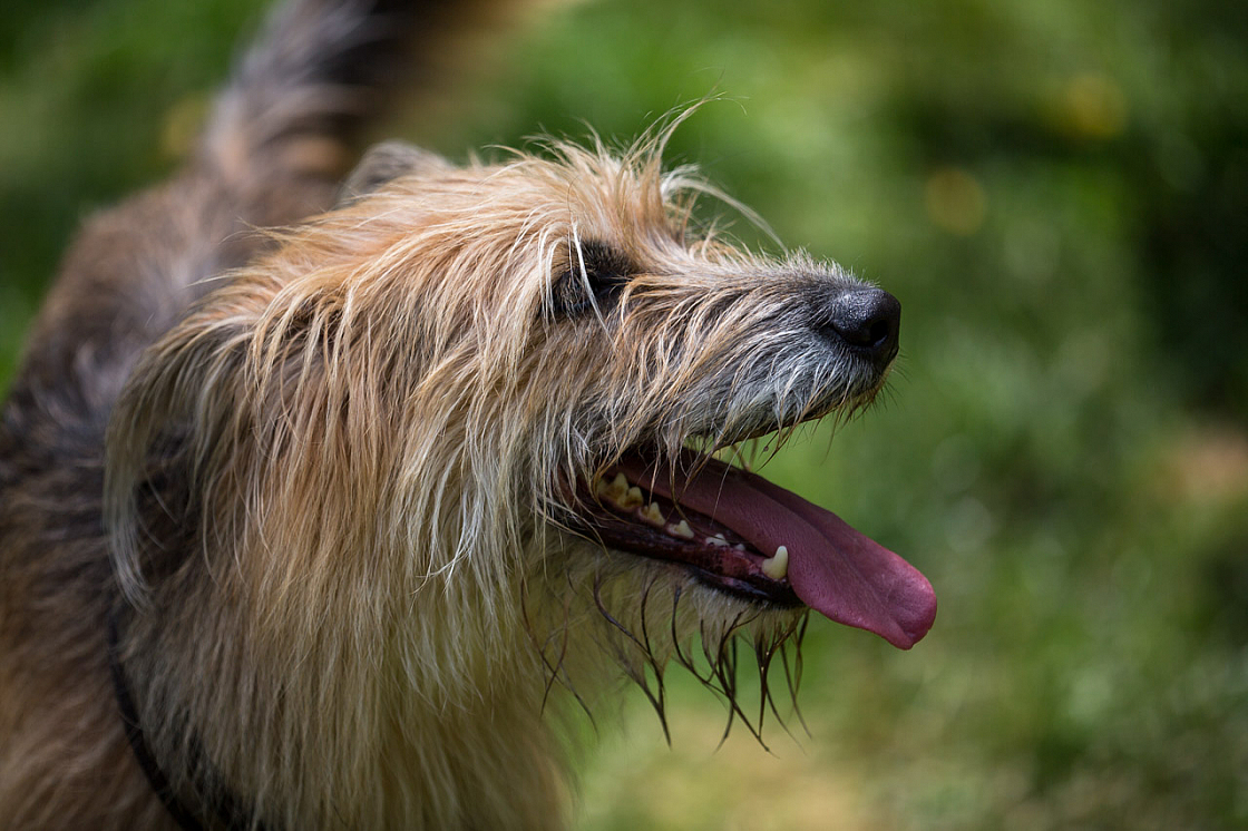 20150712143235 90729