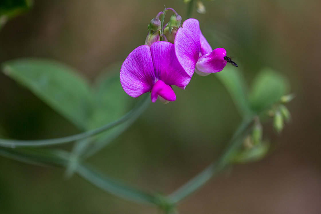 20150712144013 90814