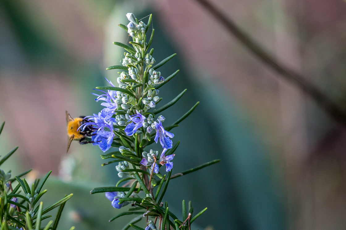 20151110170224 102840