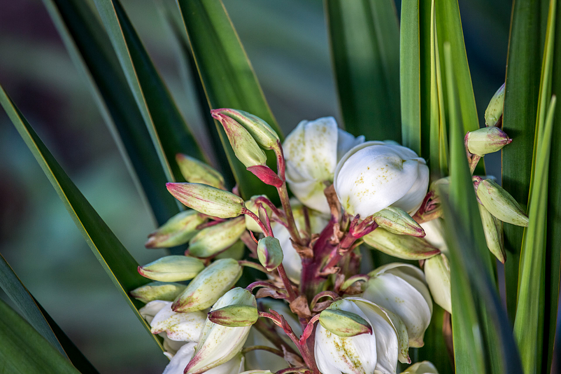 20151110170247 102847