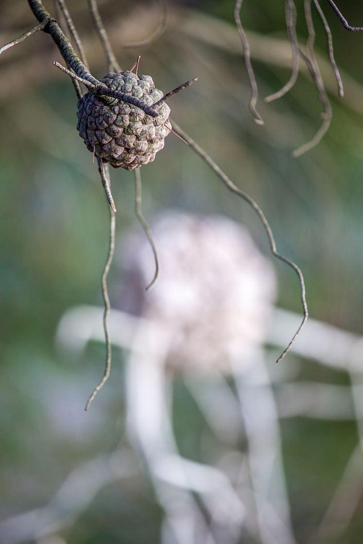 20151110170333 102863