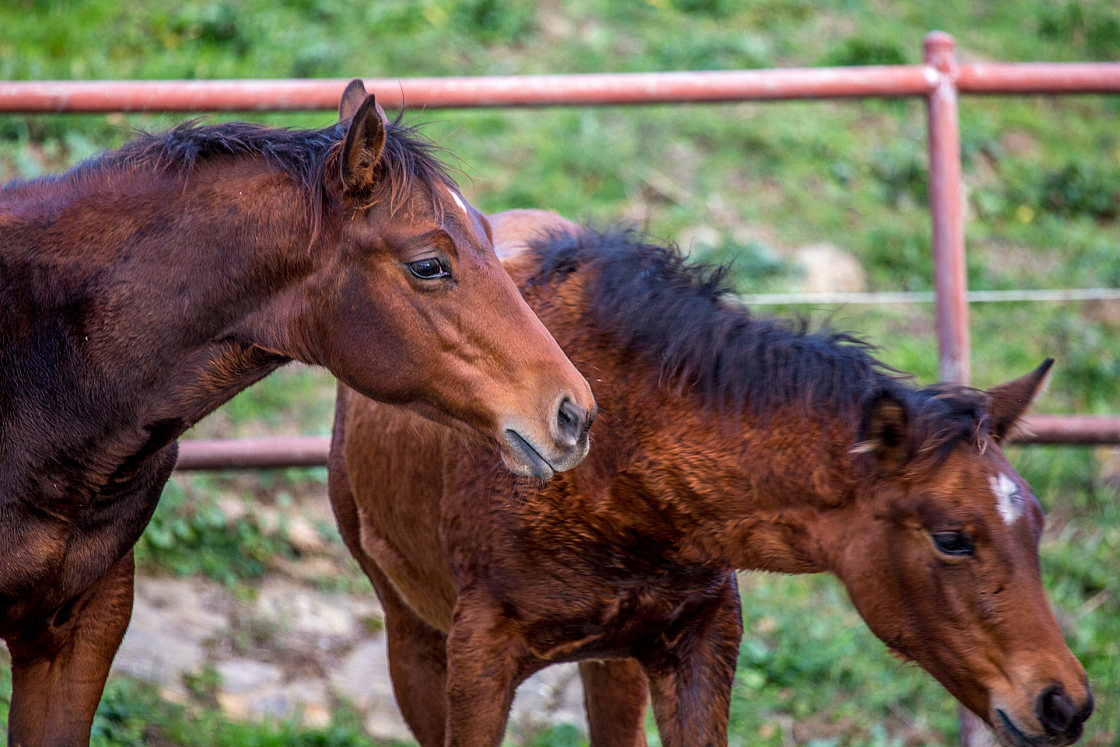 20151110171324 102957