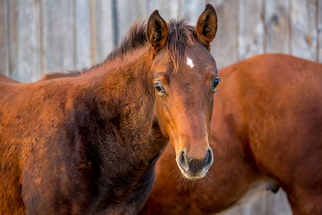 20151110172439 103083