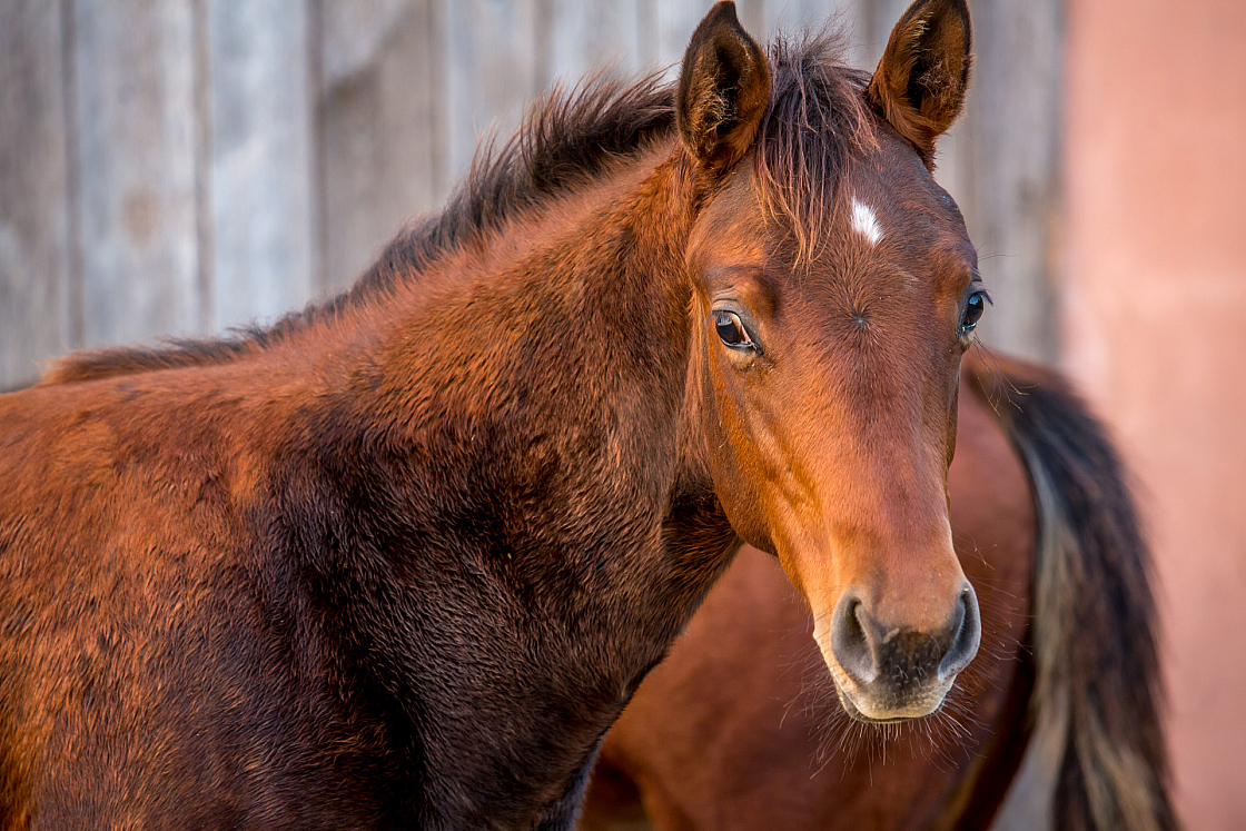 20151110172446 103090