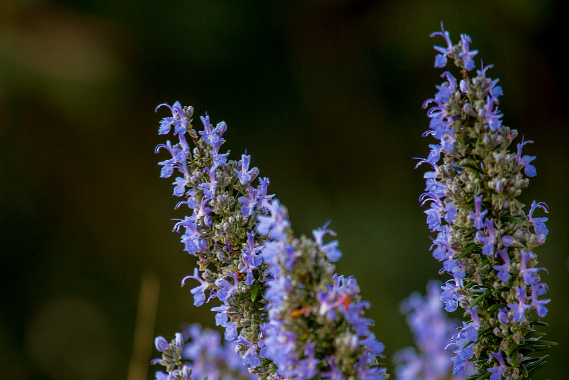 20151105180329 101623